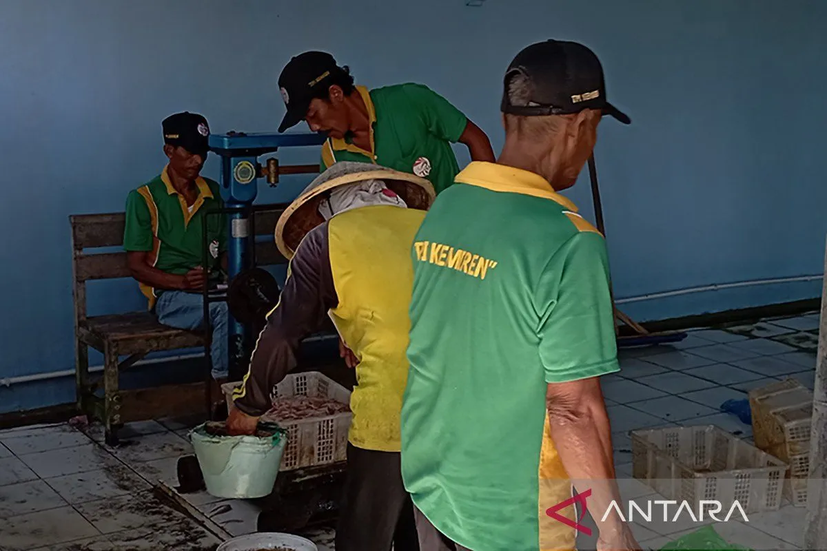 TPI Kemiren: Solusi Jasa & Layanan Terpercaya di Cilacap